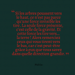 Lire la suite à propos de l’article LES GENS QUI TIRENT VERS LE BAS